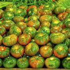 TOMATES PARA EL VERANO