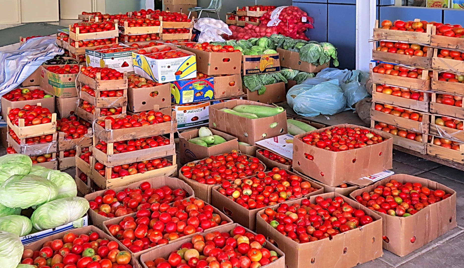 tomates - plus qu’assez 