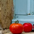Tomates provencal