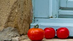 Tomates provencal