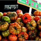 TOMATES RAF