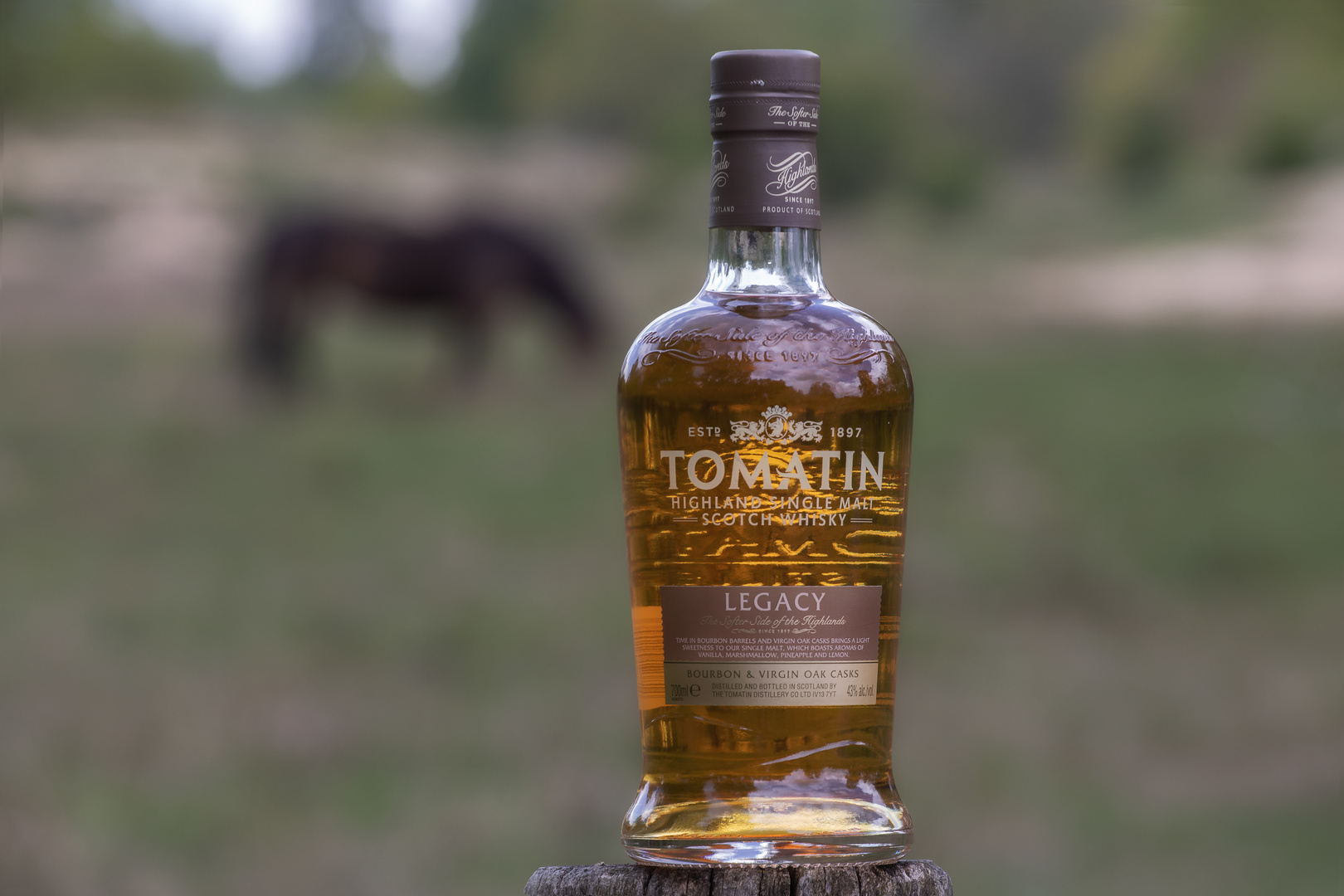 Tomatin