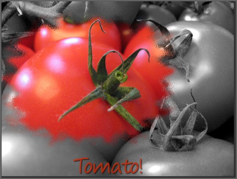 Tomato!