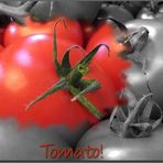 Tomato!