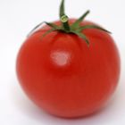 Tomato.