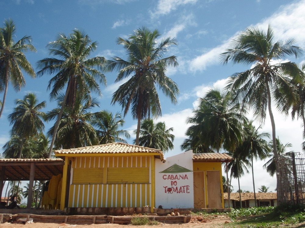 TOMATO HUT