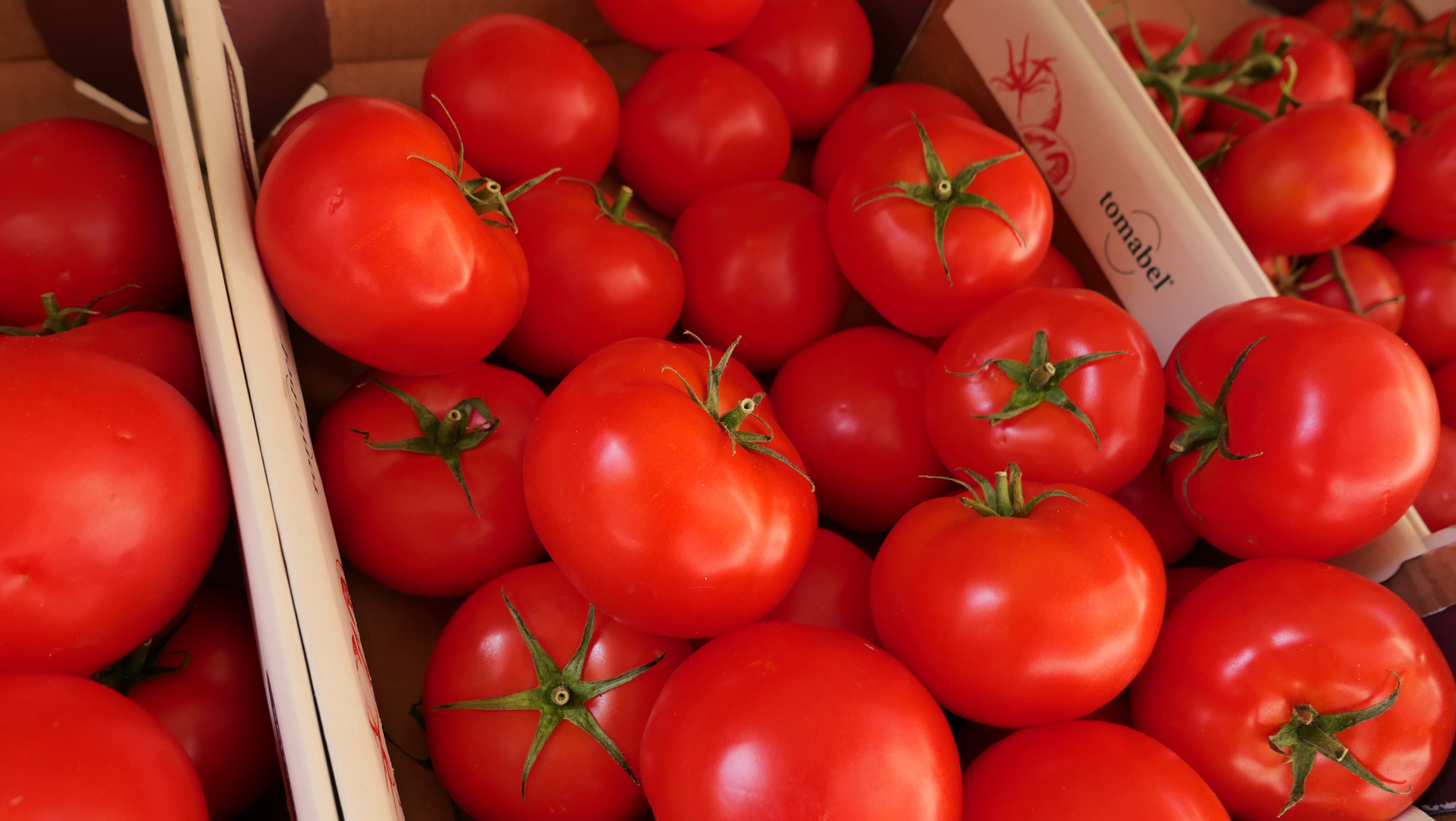 Tomato salad anyone?