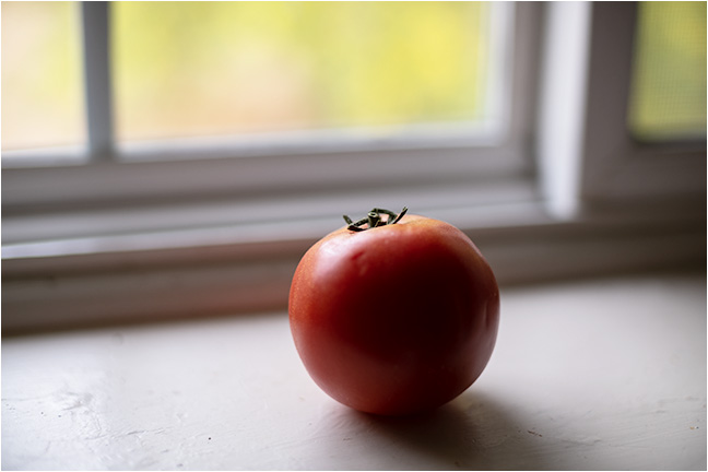 Tomato Window One 