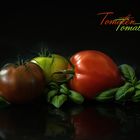 Tomatoes