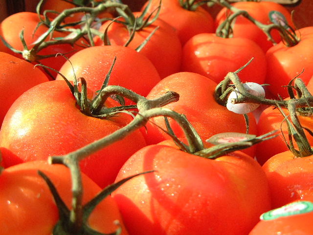 Tomatoes