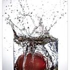 Tomatosplash