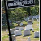 tomb of the unknown soldier