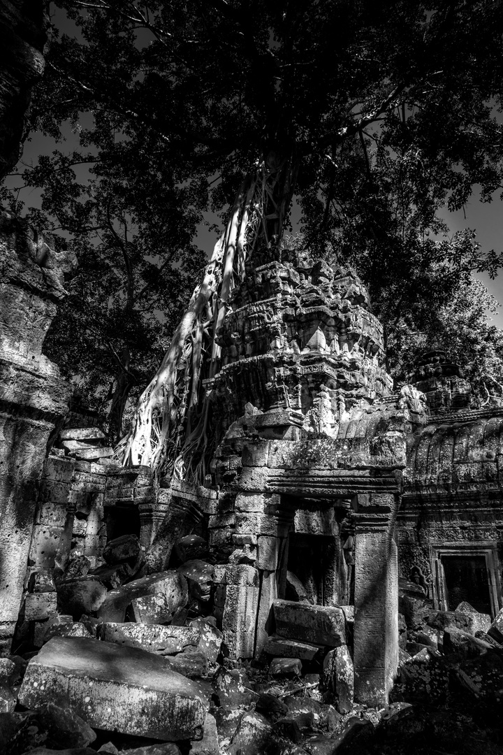 Tomb Raider Tempel