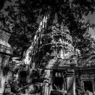 Tomb Raider Tempel