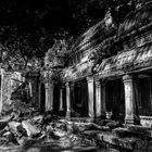 Tomb Raider Tempel