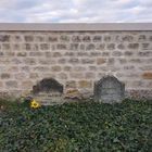 Tombe de Van Gogh et de son frère Theodore, Auvers-sur-Oise, France 