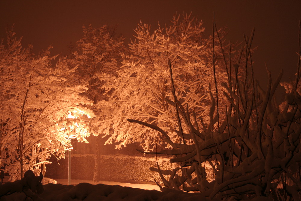 Tombe la neige