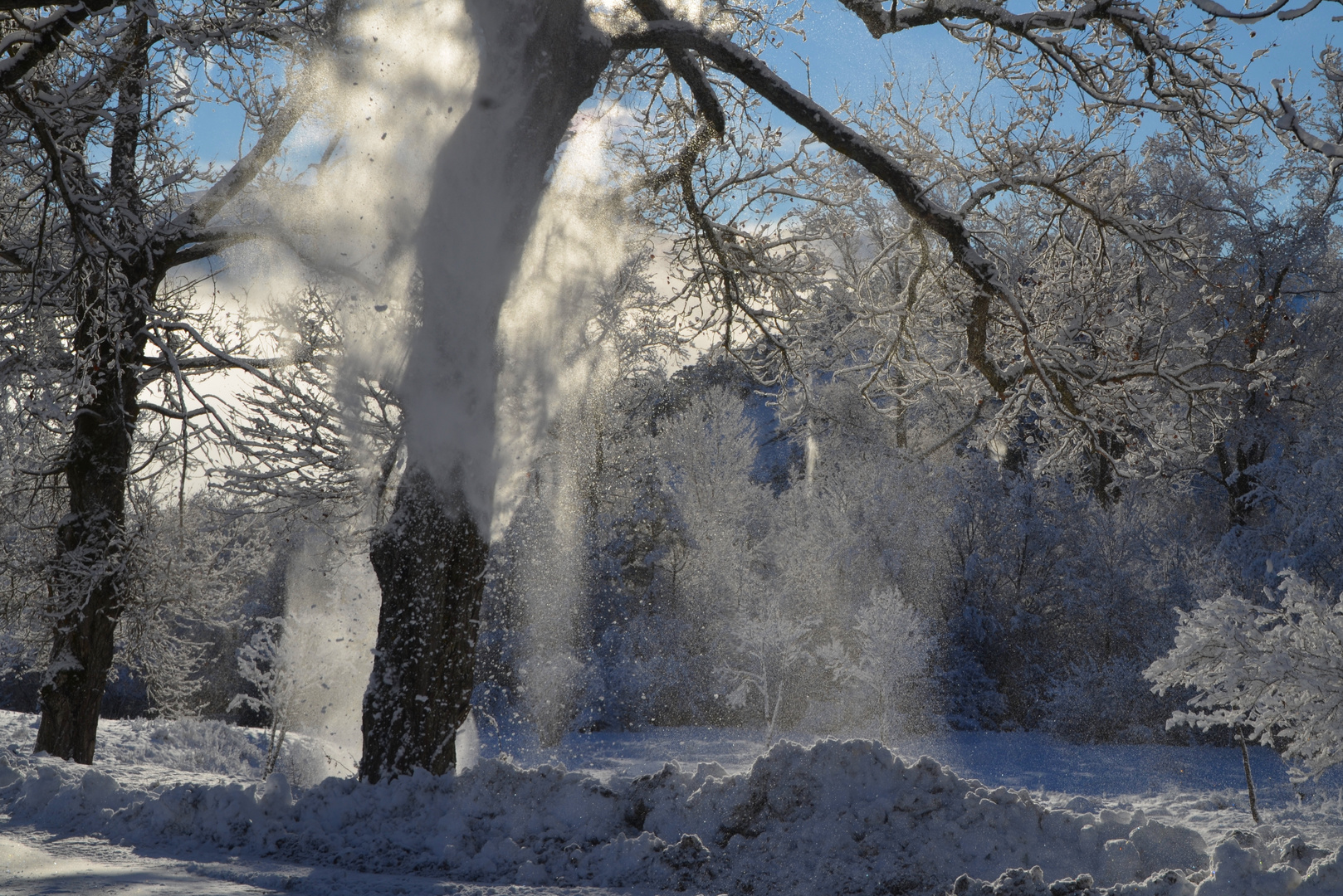 * tombe la neige *