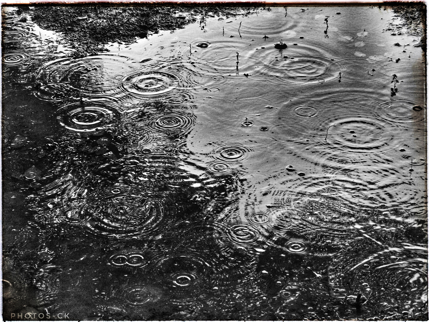 Tombe La Pluie Photo Et Image Divers Animations Photographiques La Nature Simplement Images Fotocommunity