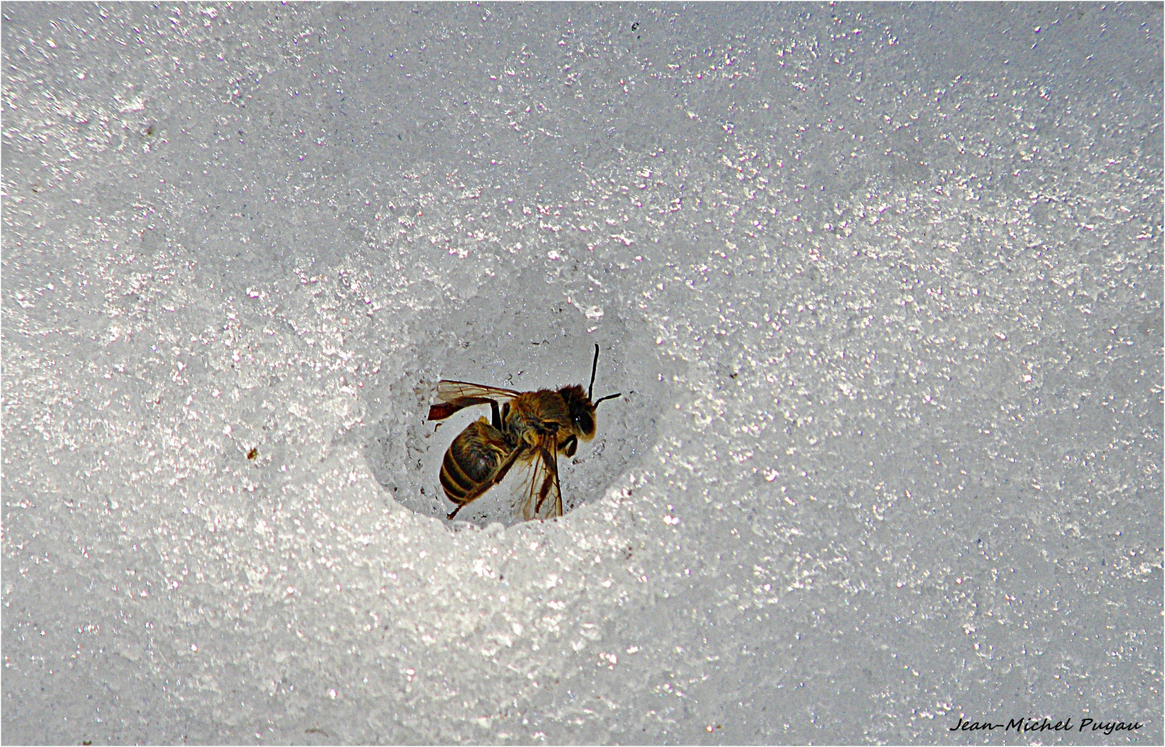 tombeau de glace