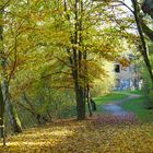 Tombent des branches dépouillées, les feuilles les plus rouillées