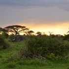 Tomber du soir sur l' Amboseli