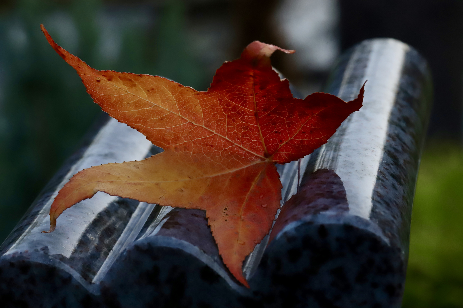 Tombstone in Autumn