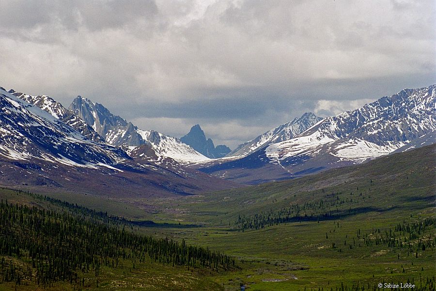 Tombstone Mountain am Dempster Highway