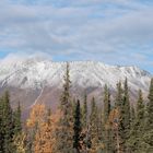 Tombstone Yukon Kanada