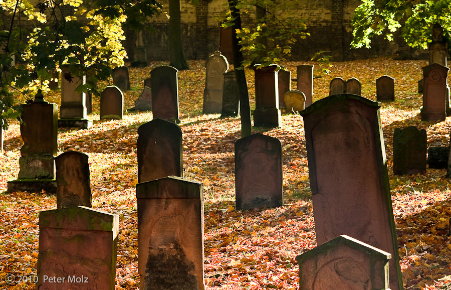 Tombstones on old jewish cemetary in Mainz / Autumn 2010