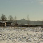 Tomburg, Pferd und Schnee