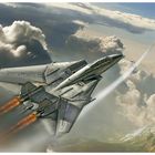 Tomcat Vs Fulcrum