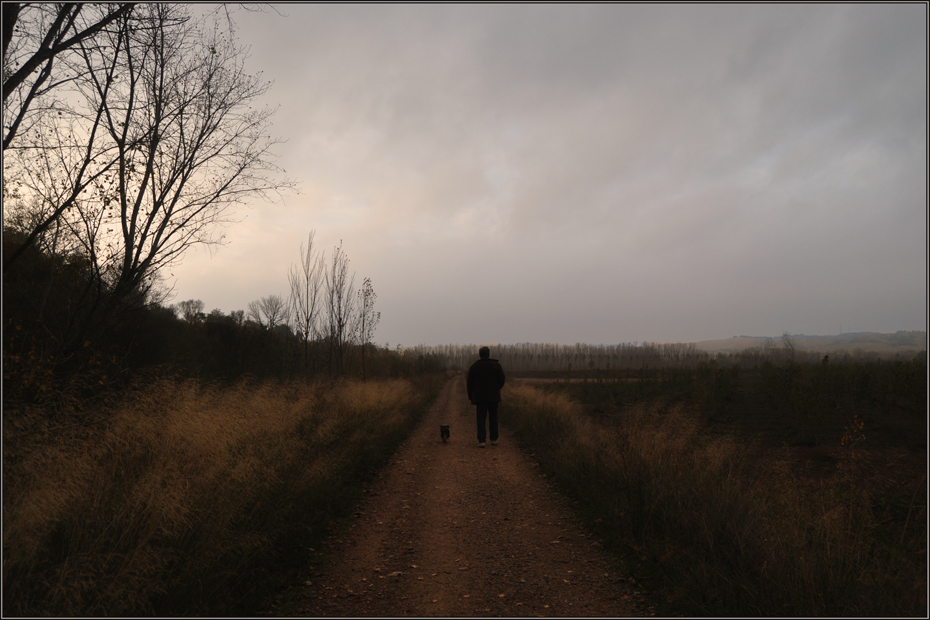 Tomé el viejo camino