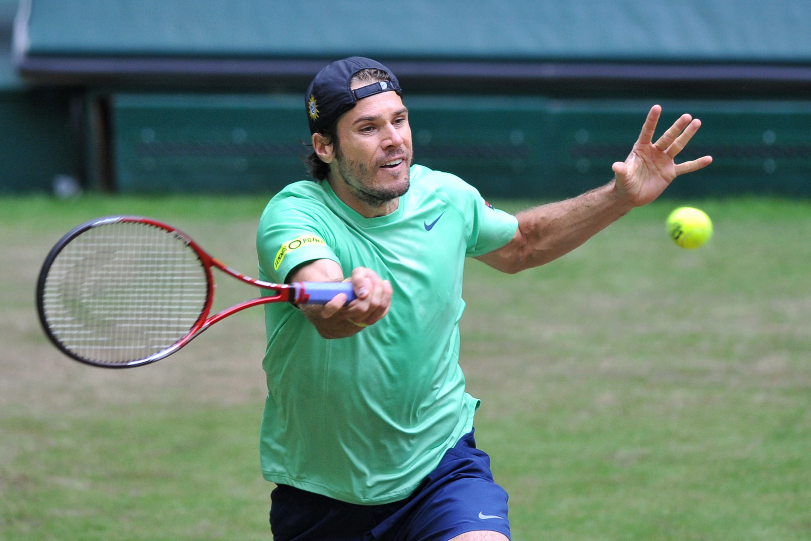 Tommy Haas ( GER )