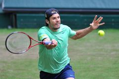 Tommy Haas ( GER )