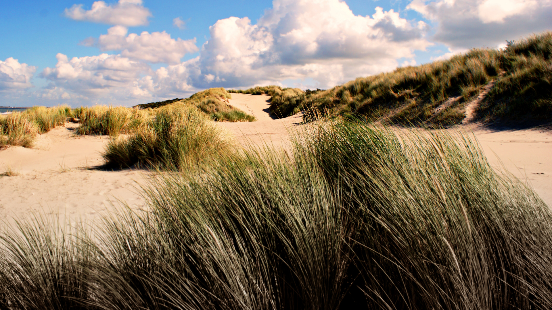 Ton in Ton am Strand