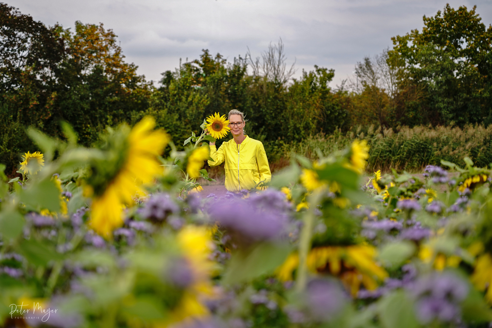 Ton in Ton mit den Sonnenblumen