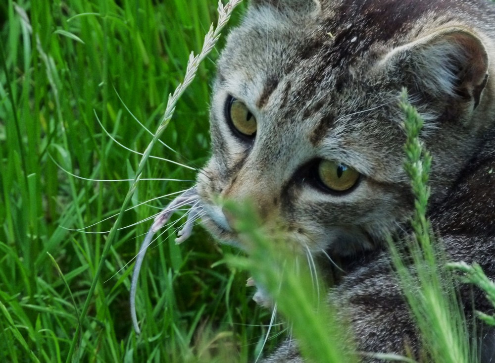 *ton regard*