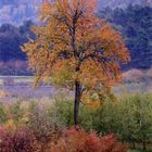 Tonalità d'autunno