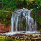 Tonbachfall