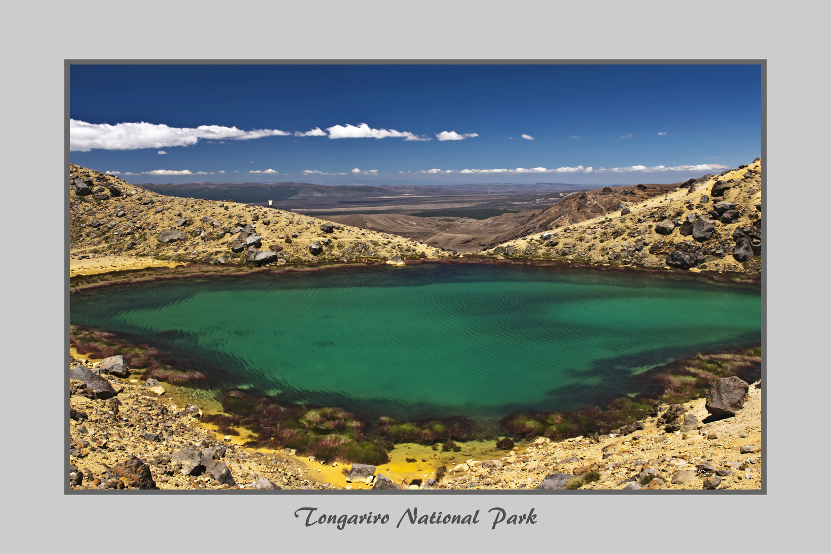 Tongario National Park 4