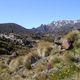 Tongario Nationalpark - Neuseeland