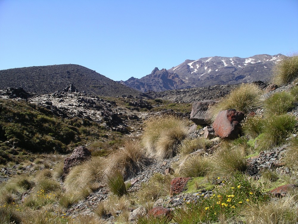 Tongario Nationalpark - Neuseeland von ClaudiaHofer 