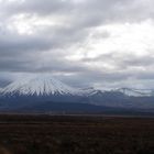 Tongariro