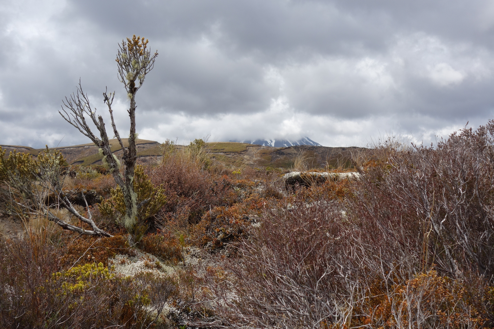 Tongariro Crossing