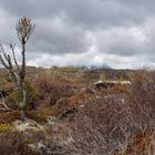 Tongariro Crossing