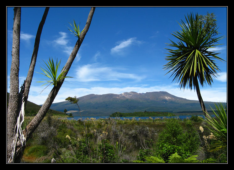 Tongariro