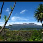 Tongariro