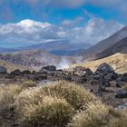 Tongariro