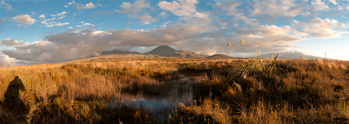 Tongariro im Sonnenuntergang